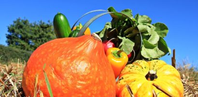 Calendrier des fruits et légumes Octobre