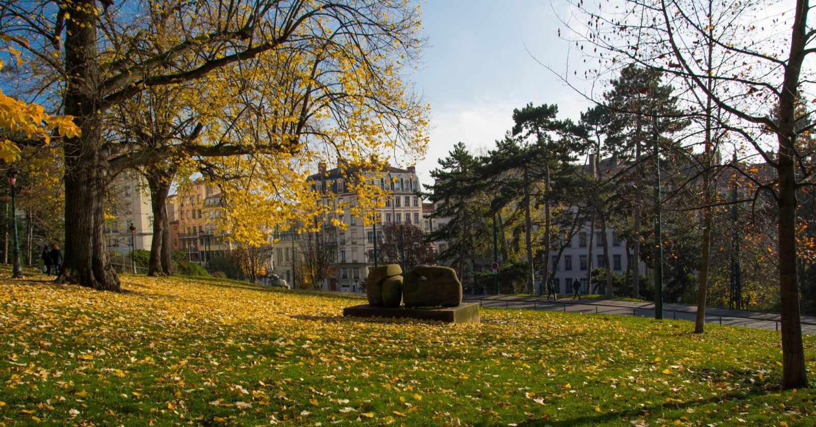 Votre coach sportif au jardin des Plantes Lyon 1er Votre coach sportif au jardin des Plantes Lyon 1er