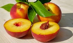Les fruits et légumes d'été à consommer sans modération