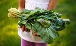 Manger des légumes facilite la perte de poids