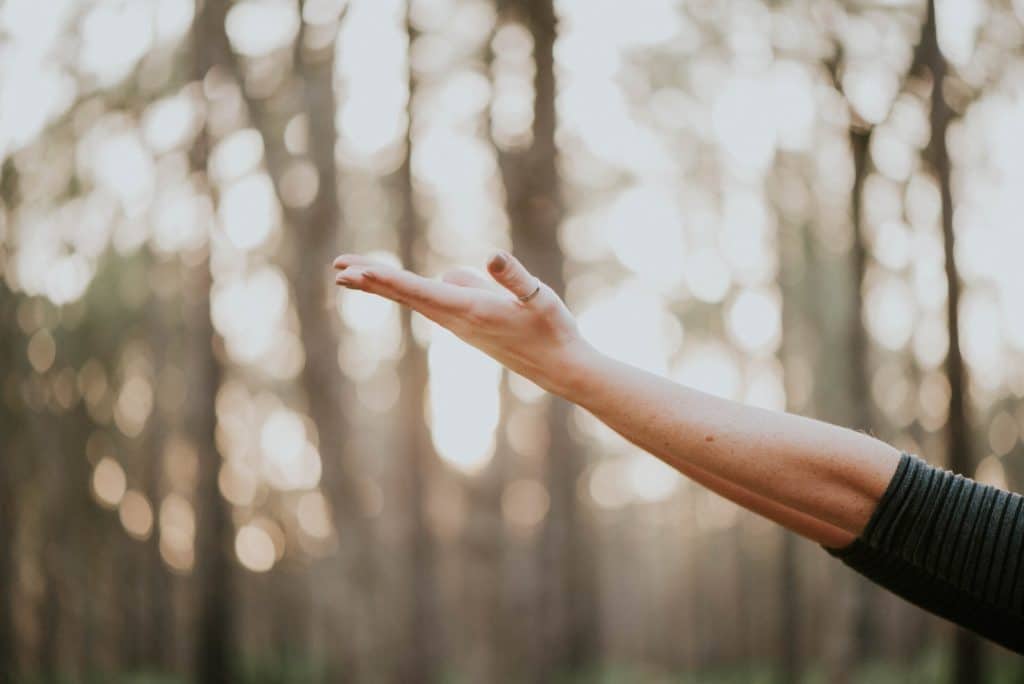 Yoga pour débuter